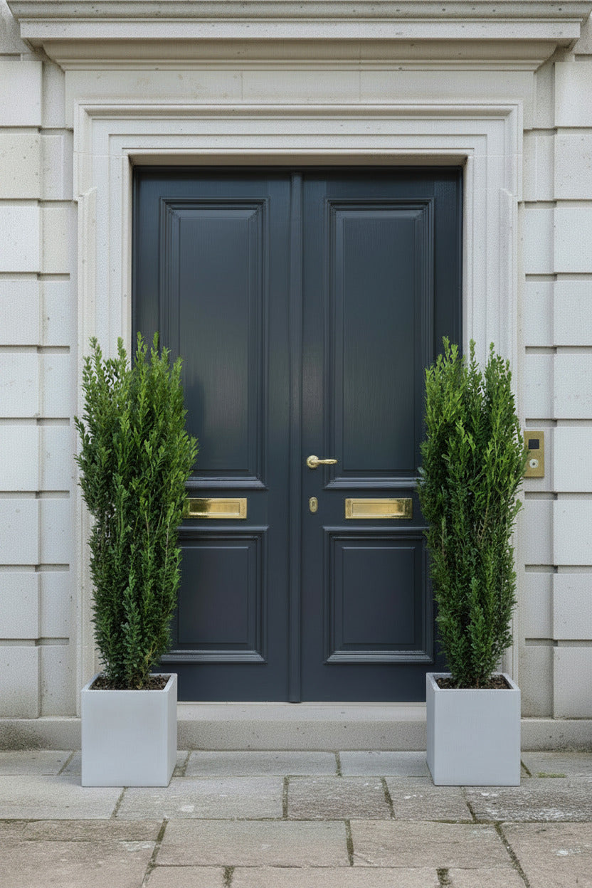 2x Säulenilex Fastigiata – 110–120 cm – immergrüne Säulenpflanze winterhart – Ilex crenata als Buchsbaum Ersatzx Säulenilex Fastigiata – Buchsbaum-Alternative, 110–120 cm