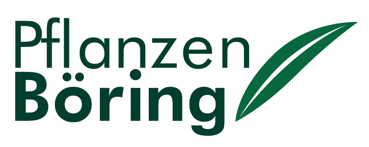 Pflanzen Böring - Gutschein